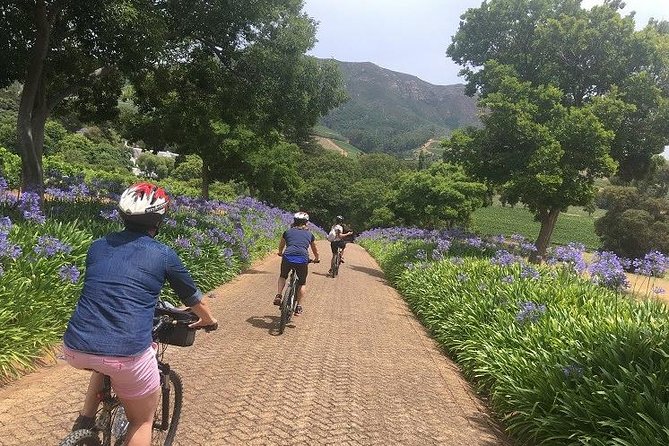 Constantia Hidden Gem Cycle Half Day - Private Tour - Bike, helmet, and pickup in an air-conditioned vehicle