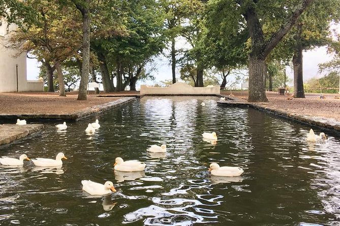 Constantia Hidden Gem Cycle Half Day - Private Tour - Price and time: what you are really paying for