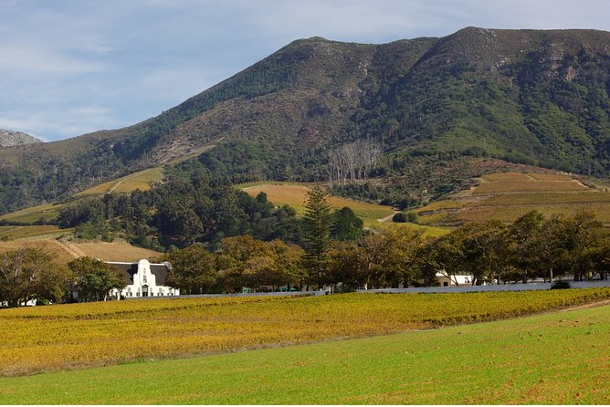 Constantia Hidden Gem Cycle Half Day - Private Tour - What to bring for a smooth Constantia morning