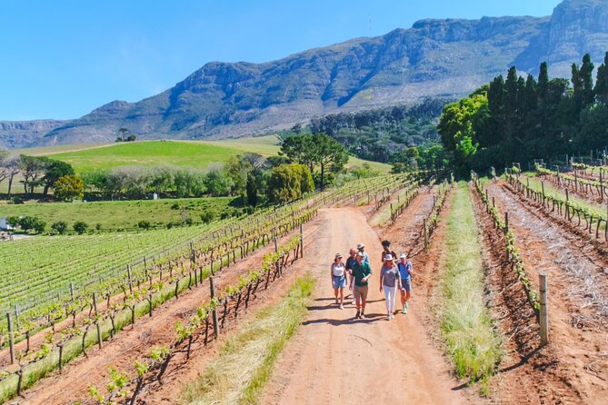 Constantia Wine Walk Storytelling Vineyard Tour with Lunch - Key points before you go