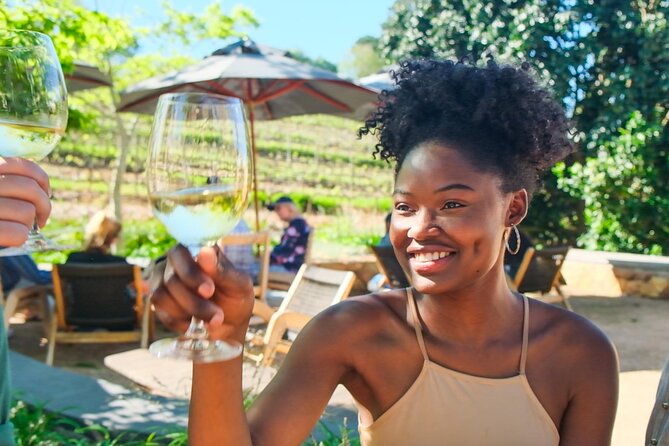 Constantia Wine Walk Storytelling Vineyard Tour with Lunch - The 10 tastings: how to pace yourself so you enjoy it, not just survive it