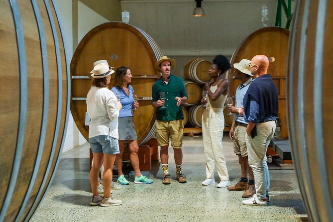 Constantia Wine Walk Storytelling Vineyard Tour with Lunch - Groot Constantia stop: the oldest estate, the cellar, and 4 tastings on a 1.5-hour loop