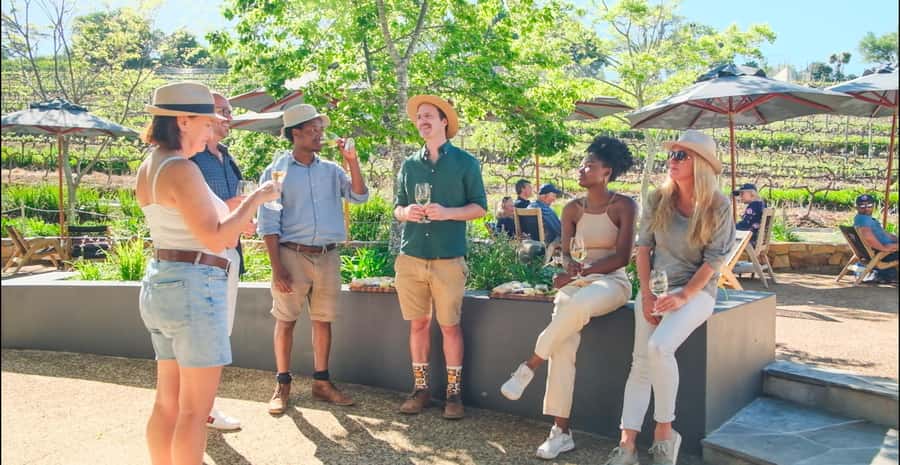 Constantia: Wine Walk with Lunch and Enchanting Stories - How Getting There Works (And Why the Start Point Matters)