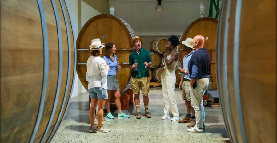 Constantia: Wine Walk with Lunch and Enchanting Stories - The Walk Itself: 5km Total, Outdoor Pace, and Shade Breaks