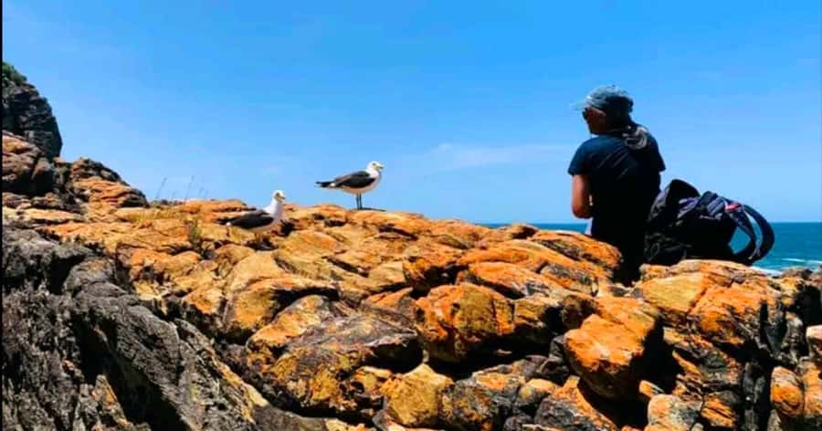Costal Hiking Sacramento Trail: Port Elizabeth - Key highlights I think you will care about