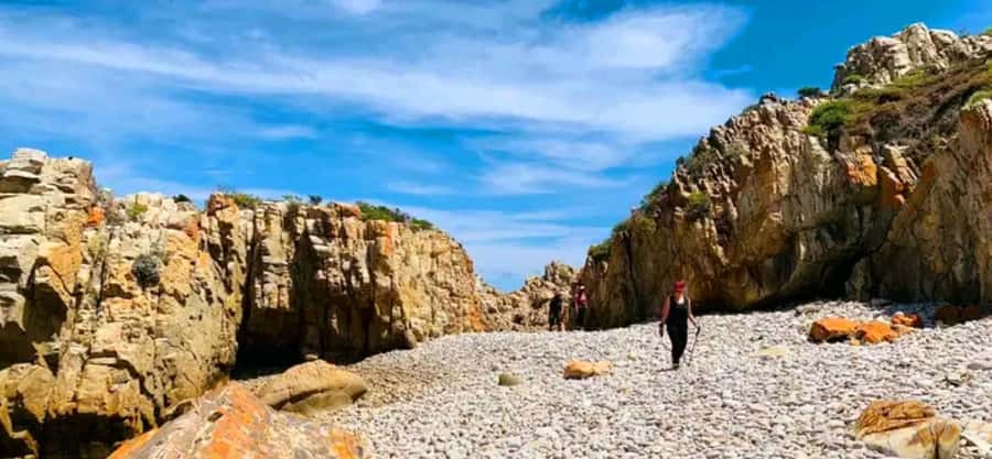 Costal Hiking Sacramento Trail: Port Elizabeth - The marine reserve vibe: Where dolphins and gannets fit in