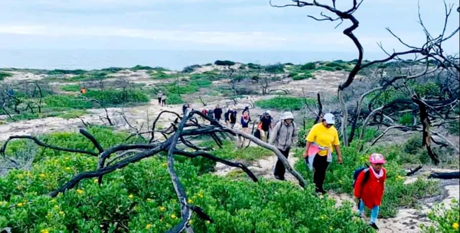 Costal Hiking Sacramento Trail: Port Elizabeth - Itinerary in plain language: pickup, the walking loop, back to Port Elizabeth