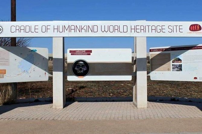 Cradle of Human Kind & Lion & Rhino Park Tour Full day Tour Private - Johannesburg Pickup To Cradle and Game Drive, Without the Hassle