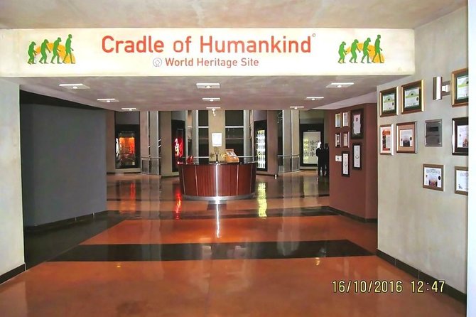 Cradle of Human Kind & Lion & Rhino Park Tour Full day Tour Private - Rhino and Lion Nature Reserve: A One-Hour Game Drive That Works