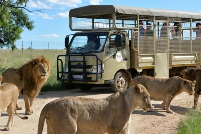Cradle of Human Kind & Lion & Rhino Park Tour Full day Tour Private - Cradle of Human Kind: UNESCO Fossils at Sterkfontein Caves