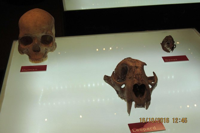 Cradle of Human Kind Tour and Lesedi Cultural Village Day Tour - Who should book, and who should think twice