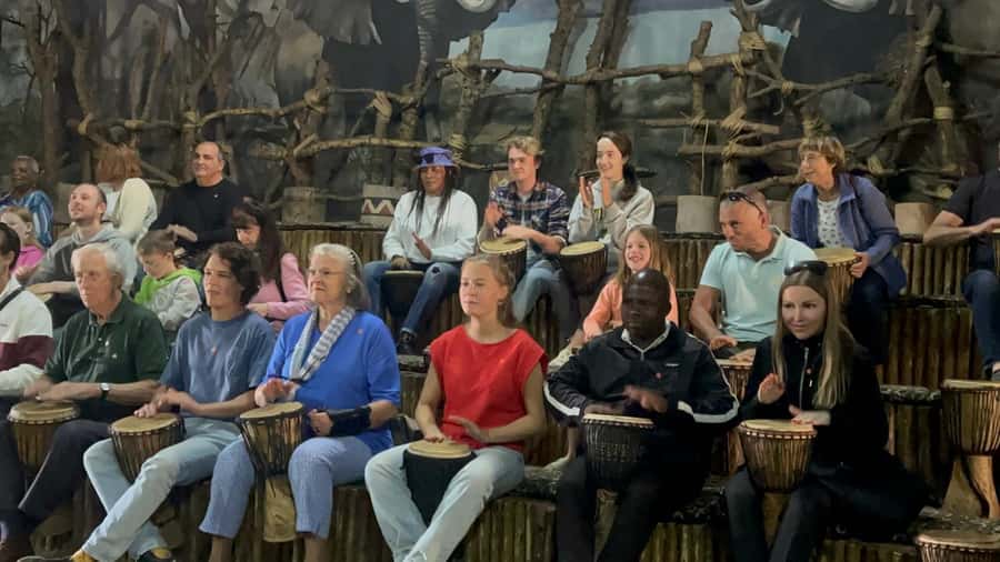 Cradle of Humankind and Lesedi Cultural Village - Lesedi Cultural Village at 11:30: villages, songs, dances, and a show