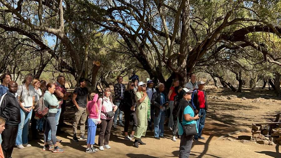Cradle of Humankind and Lesedi Cultural Village - Price and value: why $202 can still feel fair
