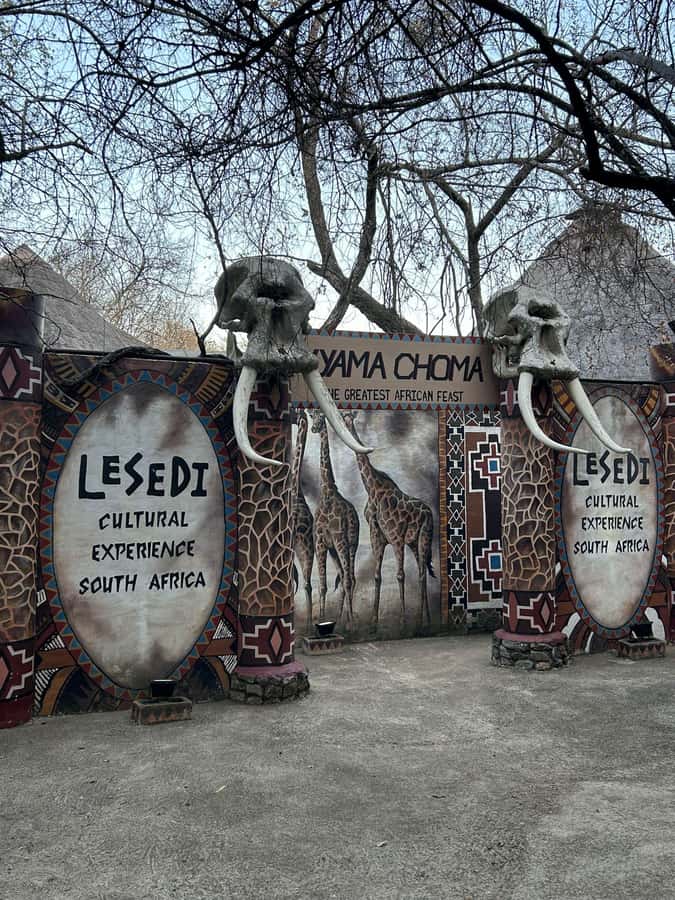 Cradle of Humankind and Lesedi Cultural Village - Inside the Cradle of Humankind: Lucy, Taung child, and the fossil story