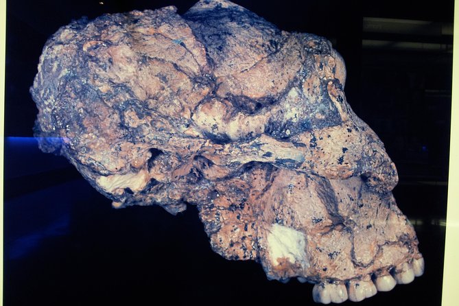 Cradle of Humankind and Maropeng Day Tour from Johannesburg - Transport, group size, and hotel pickup that make the day easier