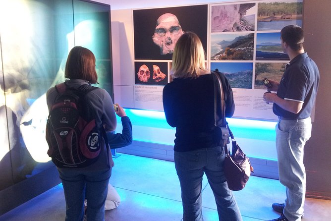 Cradle of Humankind and Maropeng Day Tour from Johannesburg - Time management: what the day feels like in real life