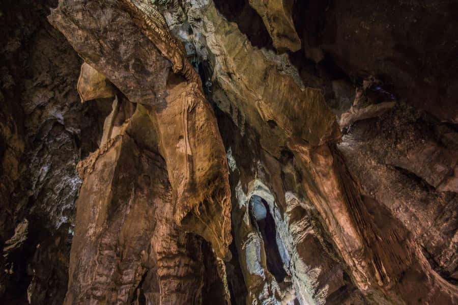 Cradle of Humankind and Sterkfontein Caves Half-Day Tour - Tumulus mound views and the “what makes us human” storytelling
