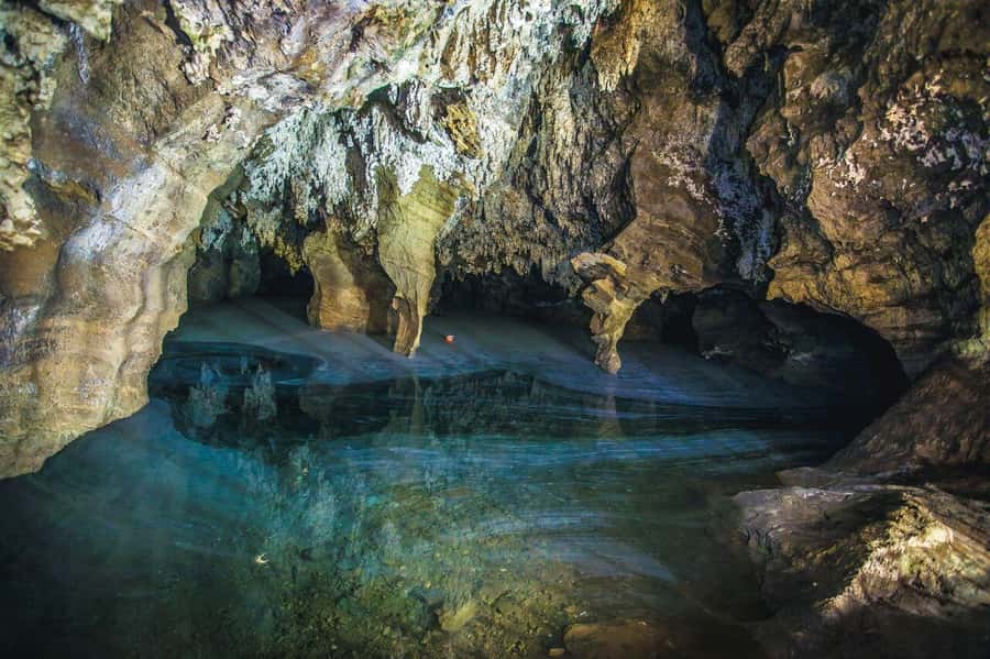 Cradle of Humankind and Sterkfontein Caves Half-Day Tour - Timing, food, and value for money at around $120