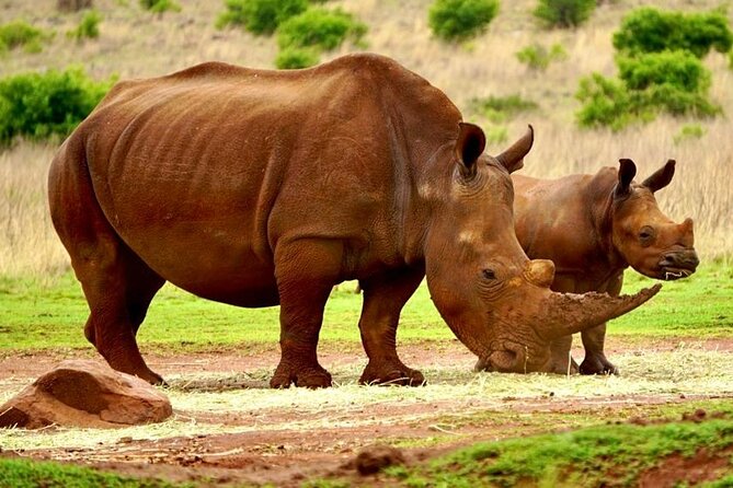 Cradle of Humankind, Caves or Maropeng, Rhino and Lion Park - Shane Gouldie’s guiding style and why a private combo feels different