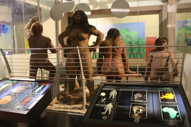 Cradle of Humankind Full Day Tour from Pretoria and Johannesburg - Key things worth knowing before you go