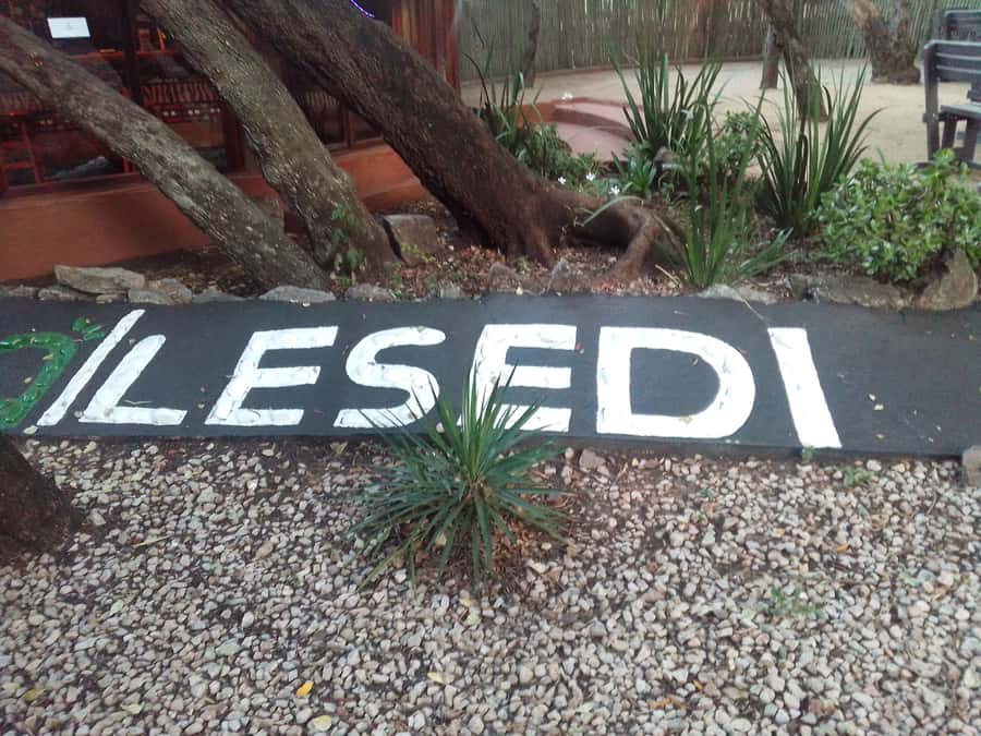 Cradle Of Humankind, Lesedi Cultural Village & Lion's Park - Key highlights