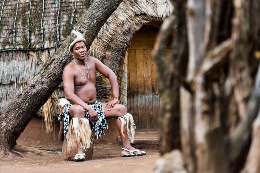 Cradle Of Humankind, Lesedi Cultural Village & Lion's Park - Should you book this Cradle, Lesedi, and Lion trip?