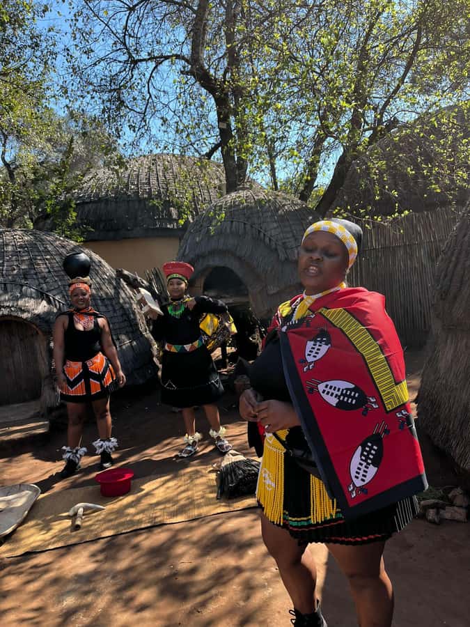 Cradle Of Humankind, Lesedi Cultural Village & Lion's Park - How this day trip feels: three attractions, one story thread