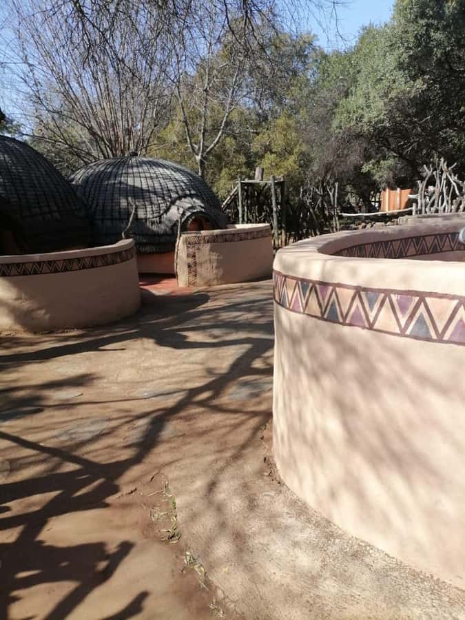 Cradle Of Humankind, Lesedi Cultural Village & Lion's Park - Lion and Safari Park: wildlife viewing with clear rules and a guided drive