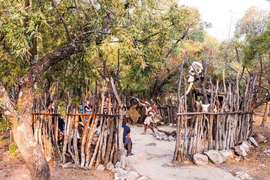 Cradle Of Humankind, Lesedi Cultural Village & Lion's Park - Who should book this tour, and who should skip it