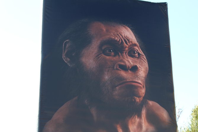 Cradle of Humankind Tour - Sterkfontein Caves with Maropeng Tour - Price and Value: What $112.55 Really Buys You