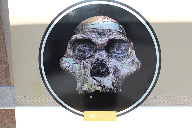 Cradle of Humankind Tour - Sterkfontein Caves with Maropeng Tour - Best for First-Timers, Families, and History-Minded Travelers