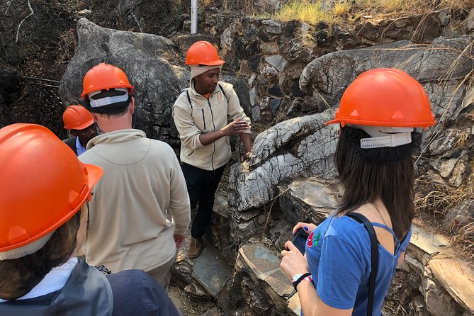 Cradle of Humankind Tour with Lion Safari from Johannesburg - A 10-hour combo day in Johannesburg’s Cradle of Humankind area