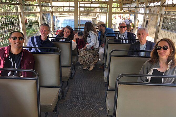 Cradle of Humankind Tour with Lion Safari from Johannesburg - How the order of stops helps you see more (and burn less energy)