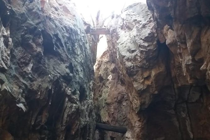 Cradle of Humankind World Heritage Site - Value check: does $86.29 feel fair?