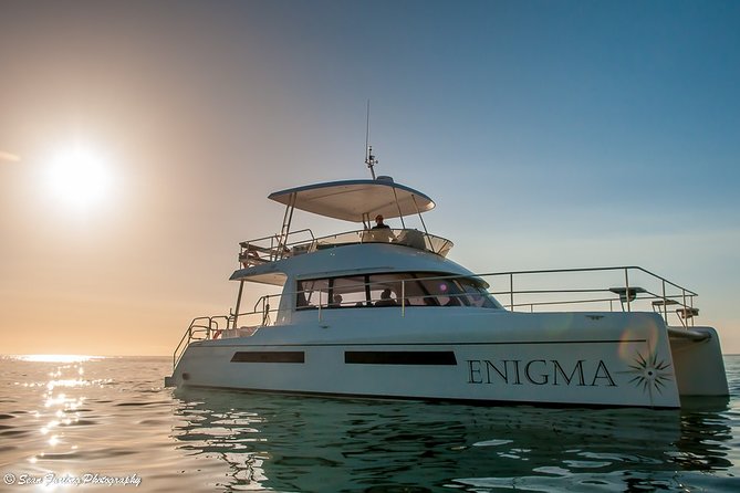 Cruise and Dine Dinner / Cape Town: Sunset Champagne Cruise and 3-Course Dinner - Sunset on the water with Cape Town skyline energy