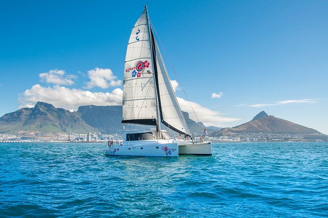Cruise and Dine Dinner / Cape Town: Sunset Champagne Cruise and 3-Course Dinner - Waterfront Charters check-in, and why timing matters