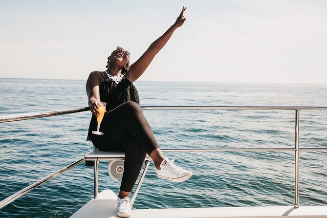 Cruise and Dine Lunch / Cape Town: Coastal Motor Cruise and 2-Course Lunch - The 1-Hour Atlantic Coastal Motor Cruise: What You’re Seeing