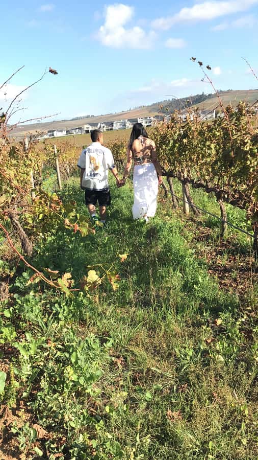 CT:Giraffe house-lions-leopard-tiger and WineTasting - Who Should Book This Wildlife and Wine Day