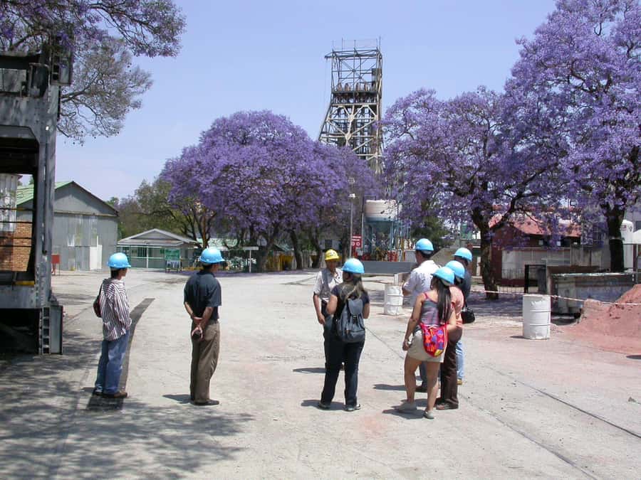 Cullinan Diamond Mine & Pretoria Full Day Tour - Voortrekker Monument in a Nature Reserve: Reading Afrikaaner History