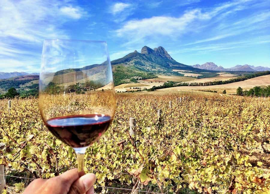 CUSTOMISED PRIVATE WINE TOUR WITH LUNCH - CAPE TOWN - What You’re Really Paying For: A Personalized Wine Route