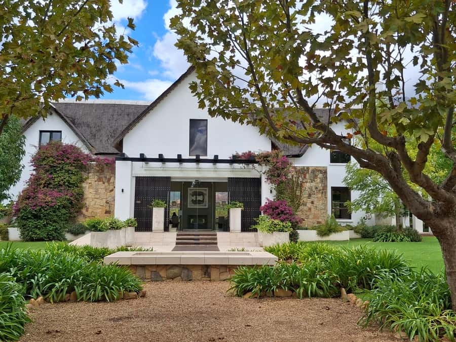 CUSTOMISED PRIVATE WINE TOUR WITH LUNCH - CAPE TOWN - Oldenburg Vineyard: Views You’ll Actually Remember