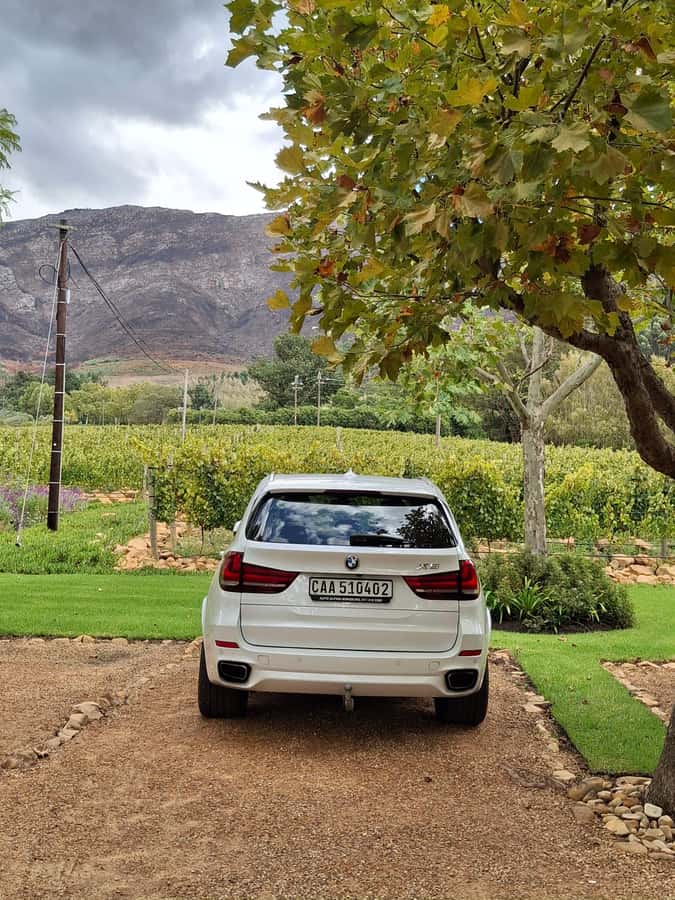 CUSTOMISED PRIVATE WINE TOUR WITH LUNCH - CAPE TOWN - Price and Value: Is $124 Worth It?