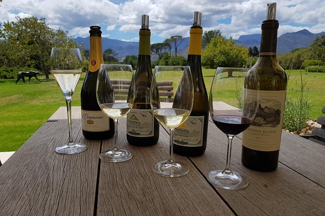Customized Private Wine Tour - Lunch Planning: Vegan and Vegetarian Options Exist, Just Not Free