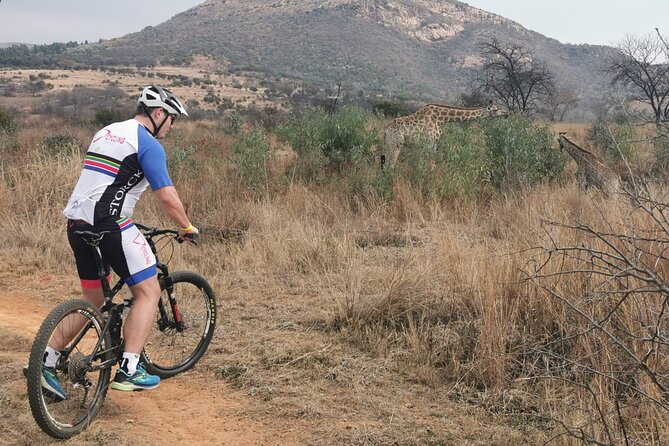 Cycling in a Forest close to Johannesburg and Pretoria - Forest MTB near Pretoria, without the long scramble