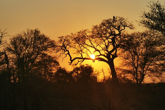 Cycling in a Forest close to Johannesburg and Pretoria - Pickup, Wi-Fi, and a smooth start from Johannesburg or Pretoria