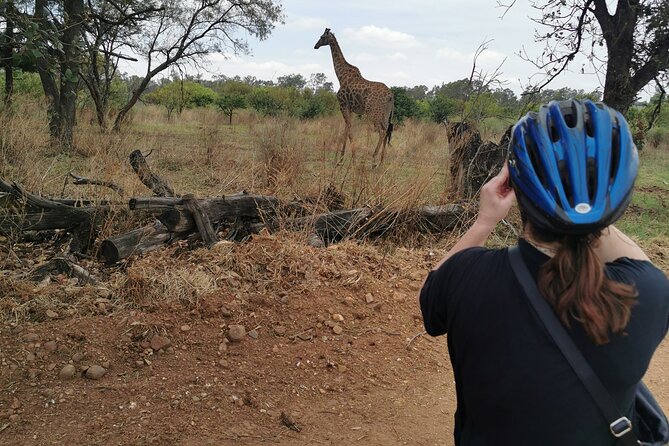 Cycling in a Forest close to Johannesburg and Pretoria - Meet Shane, the pro who keeps your pace realistic