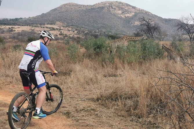 Cycling The Cradle of Humankind in Game Reserve - The private pacing: what you actually control