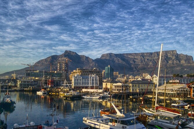 Discover Cape Town City Cycle Tour - De Waterkant and Green Point: the “between places” that make Cape Town feel real