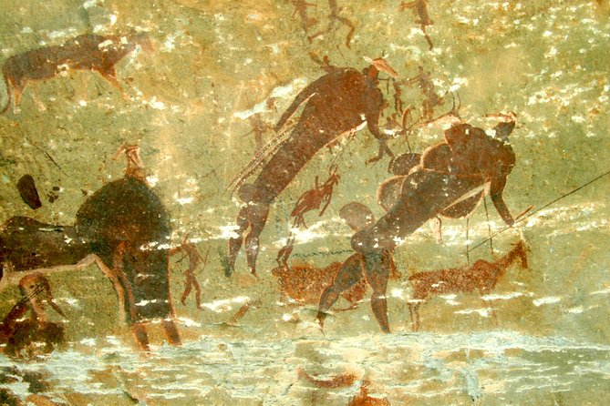Drakensberg Giant's Castle Cave Art & Mandela Capture Site Tour from Durban - Who this Durban to Drakensberg tour suits best