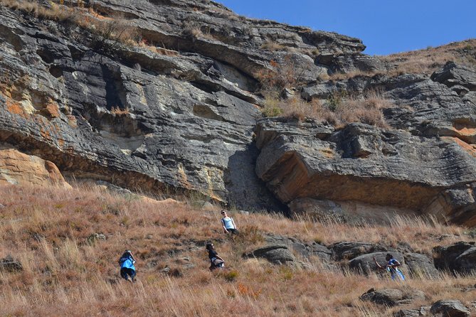 Drakensberg Kamberg Rock Art & Mandela Capture Site Day Tour from Durban - Mandela capture site and the Apartheid Museum in Howick